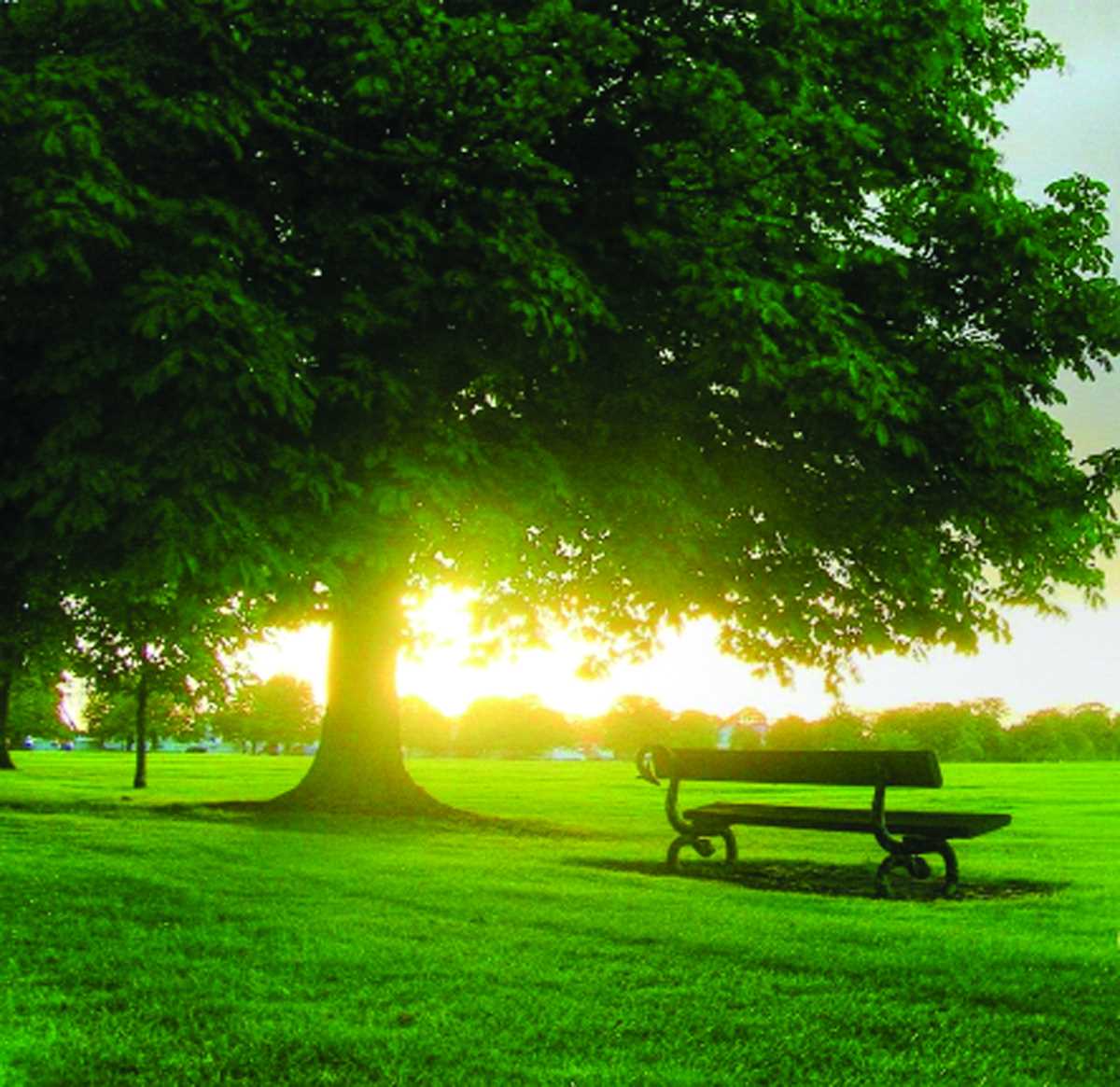 नूतन प्रभात